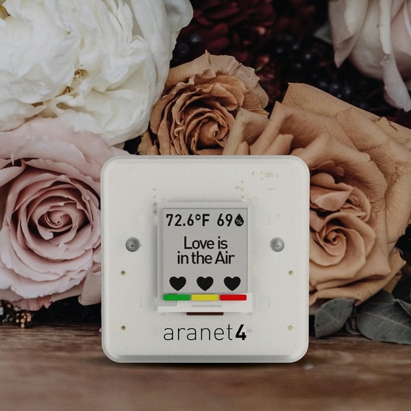 Is Aranet Worth It?