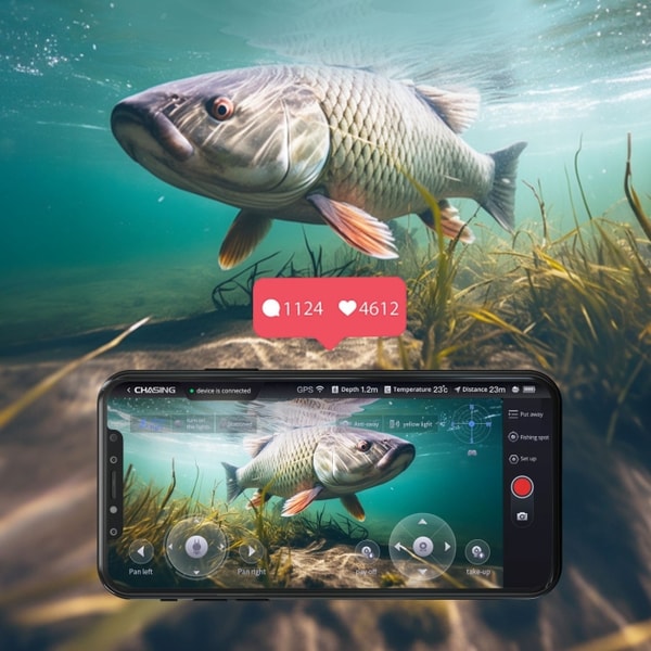 Is CanFish Worth It?