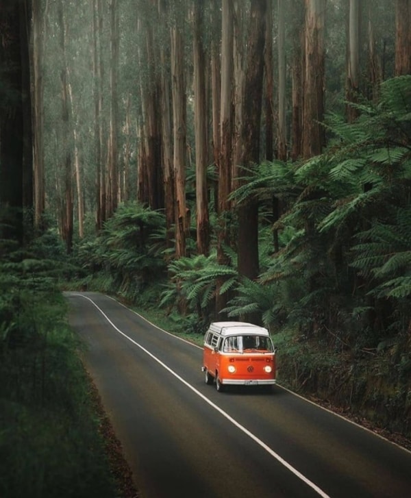 Is Carla Car Rental Worth It?