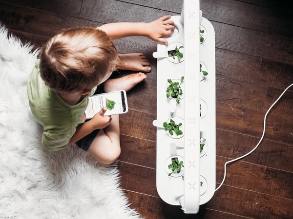 Is Click & Grow Worth It?