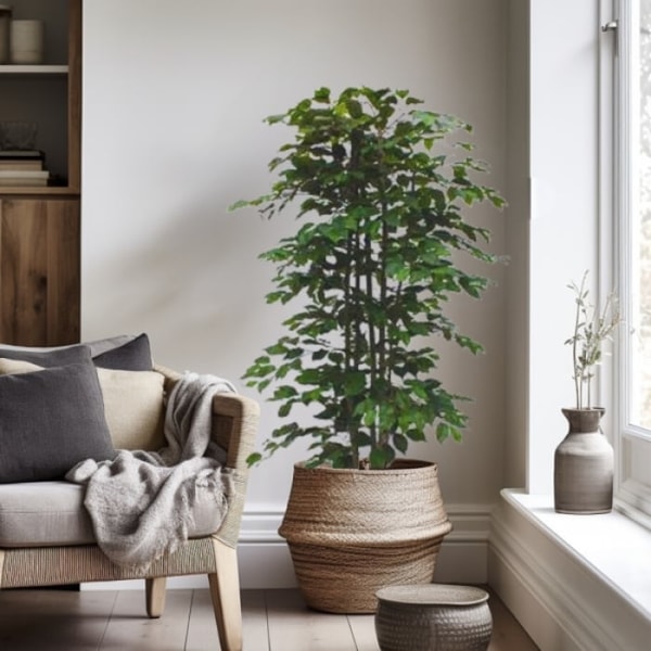 Is Evergreen Direct Worth It?