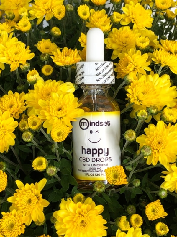 Is Mindset Wellness CBD Worth It?