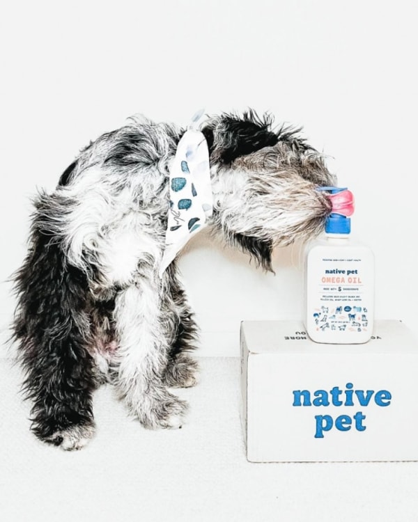Is Native Pet Worth It?