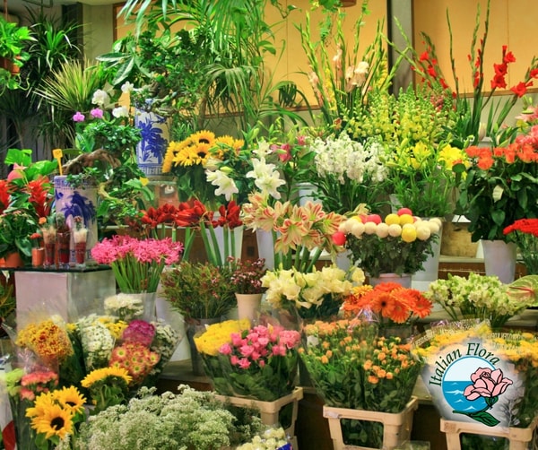 Informazioni su ItalianFlora
