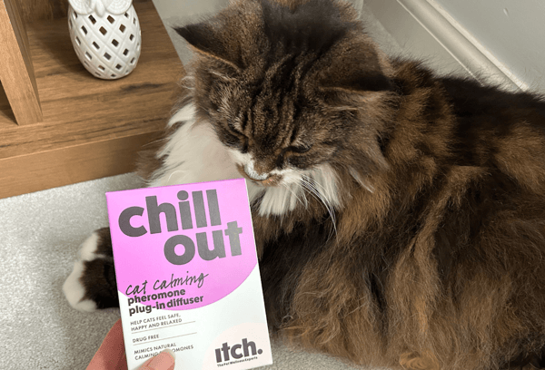 Itch Pet Review