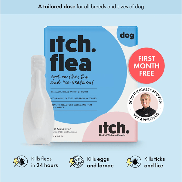 Itch Pet Itch Flea Treatment Review