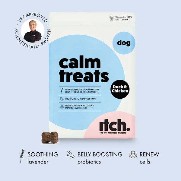 Itch Pet Itch Calm Treats Review