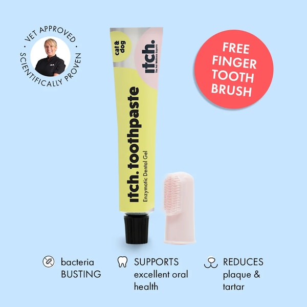 Itch Pet Itch Toothpaste Review