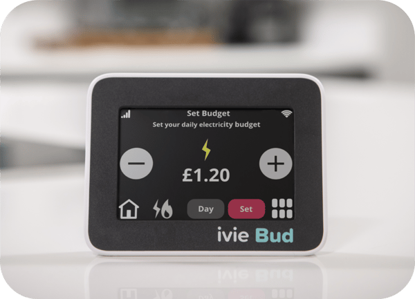 ivie Review