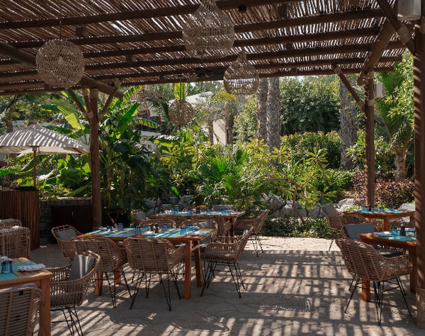 JA Palm Tree Court Review