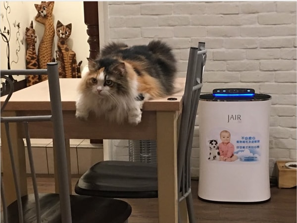关于 JAIR