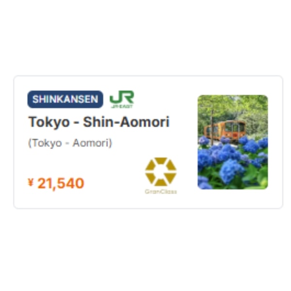 Japan Bullet Train Shinkansen Tokyo - Shin-Aomori Review