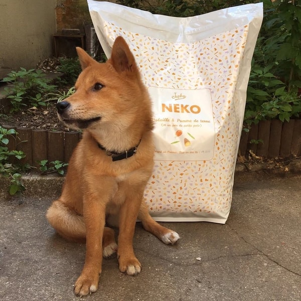 Japhy Dog Personalized Kibble Avis