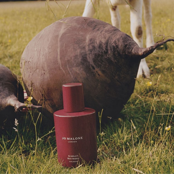 Jo Malone Scarlet Beetroot Cologne 리뷰