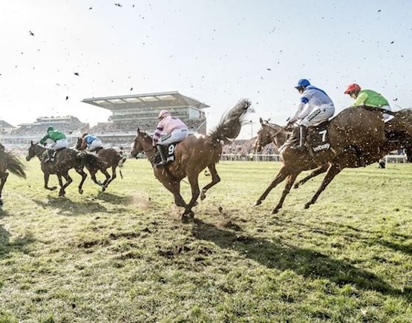 About Jockey Club