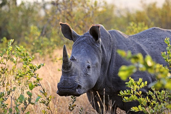 Journaway South Africa Bucketlist Roadtrip Beoordeling
