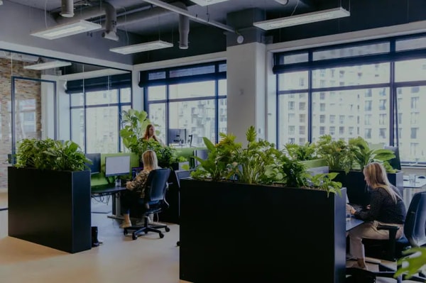 JouwWeb Webshop builder Beoordeling