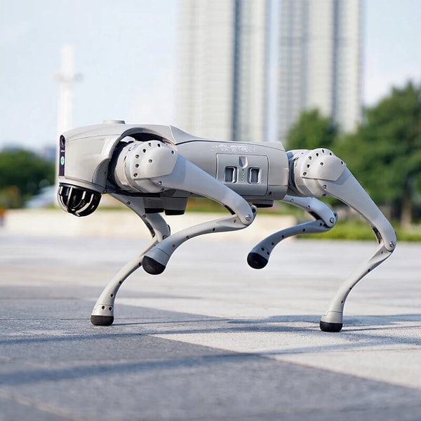 Joybuy Unitree Go2 Pro mehrbeiniger Roboterhund Review