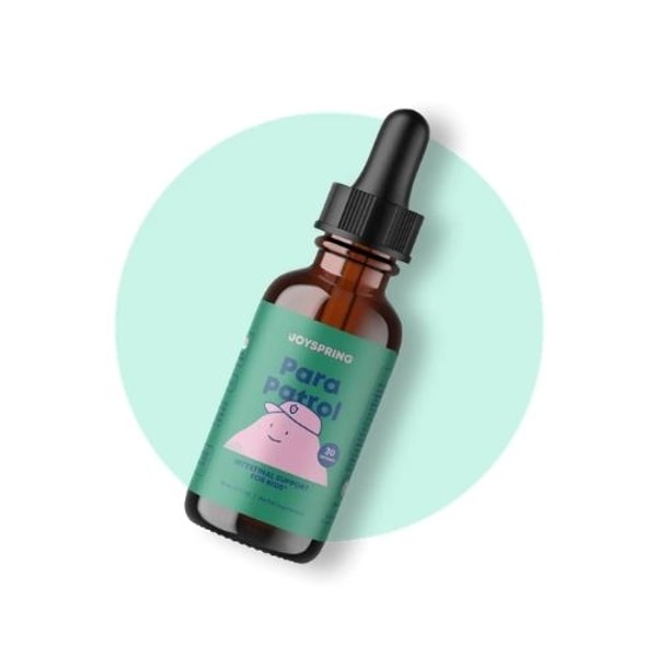 JoySpring ParaPatrol Review