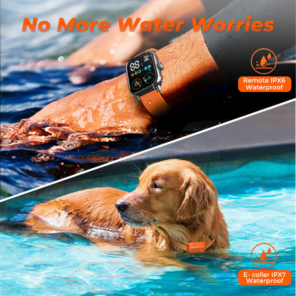 Jugbow DT-60 Watch-Style Remote Training Collar Review