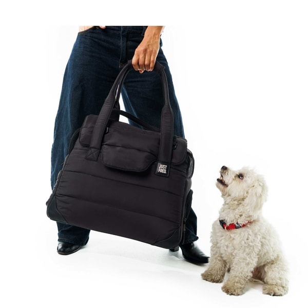 JUST FRED Companion Tote Review