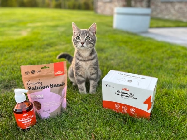 Just Russel Pers&ouml;nliche Katzenfutter Bewertung