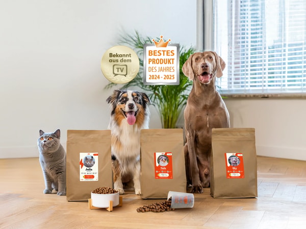 Individuelle Tiernahrung Eines Neuen Typs