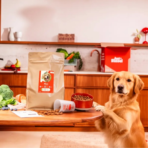 Just Russel Croquettes chien Avis