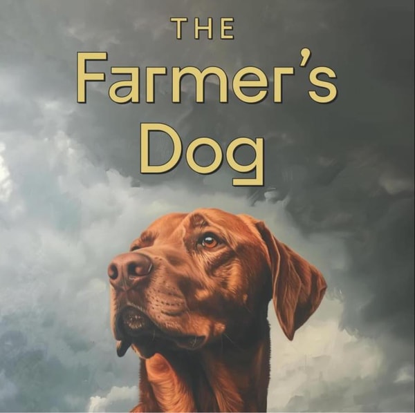 JustFoodForDogs vs The Farmer's Dog