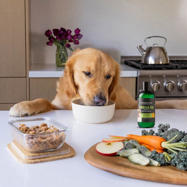 About JustFoodForDogs