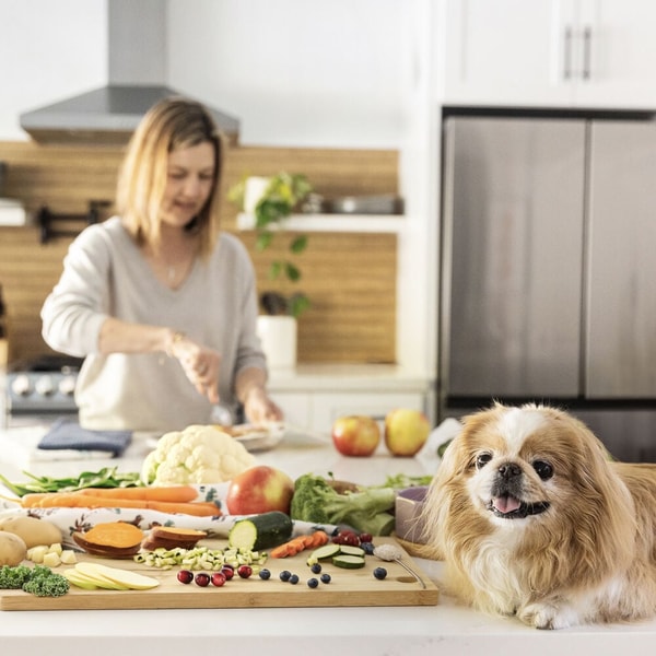 JustFoodForDogs Review