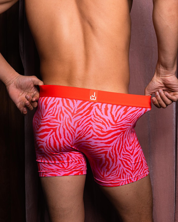 Overview of JustWears