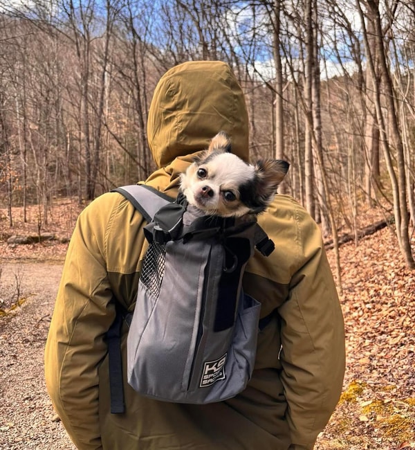 About K9 Sport Sack