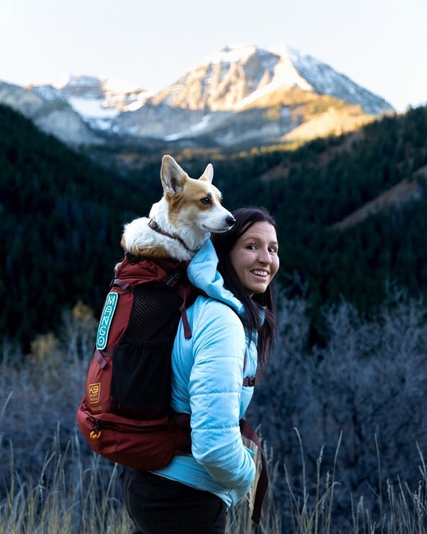 K9 Sport Sack Review