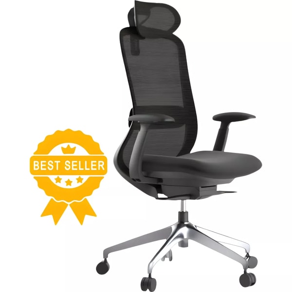 Kancel&aacute;řsk&eacute; židle Ergonomick&aacute; kancel&aacute;řsk&aacute; židle BESSEL recenze