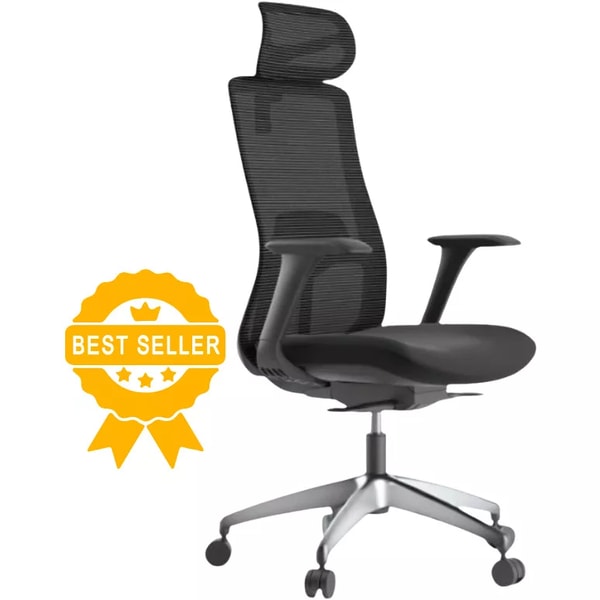 Kancel&aacute;řsk&eacute; židle Ergonomick&aacute; kancel&aacute;řsk&aacute; židle WISDOM recenze