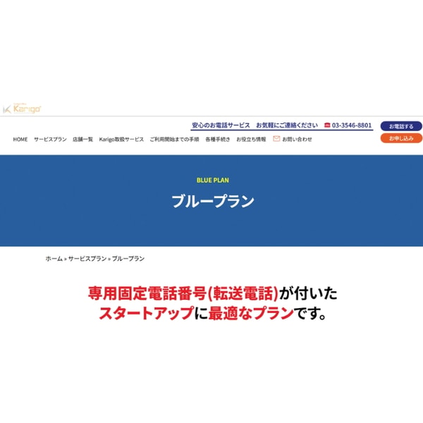 Karigo ブループラン レビュー
