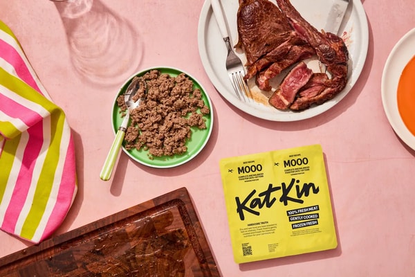 KatKin Mooo Review