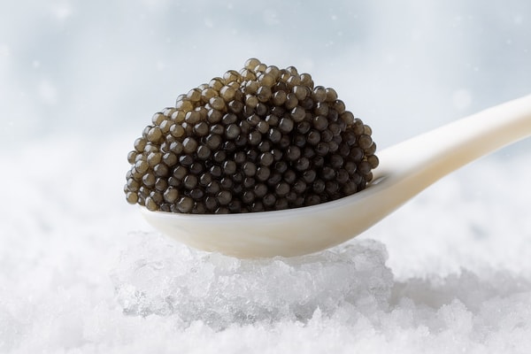 Kaviar Online Shop Royal Kaviar-Baerii 50g Bewertungen