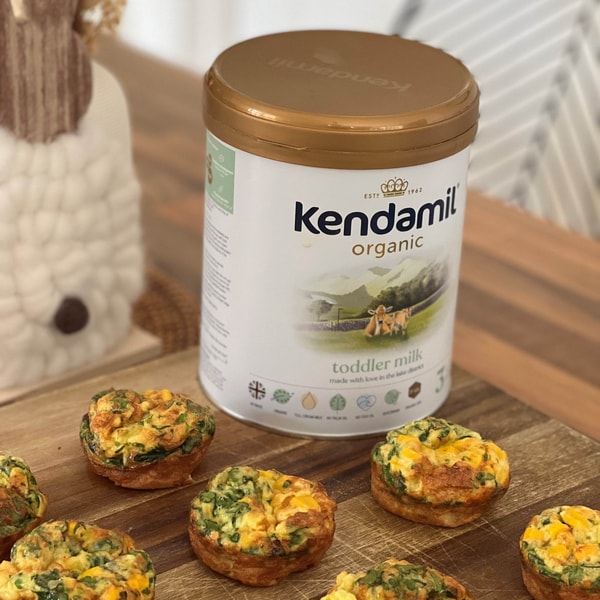 Kendamil Review