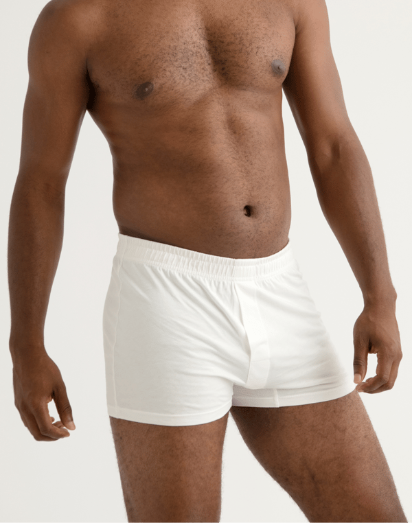 KENT Men&rsquo;s Organic Cotton Breather Brief Review