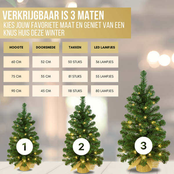Overzicht van Kerstbomenwinkel