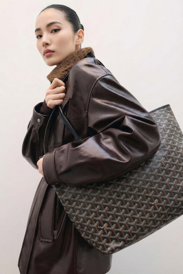 Kinship Goyard Saint Louis GM Bag Review