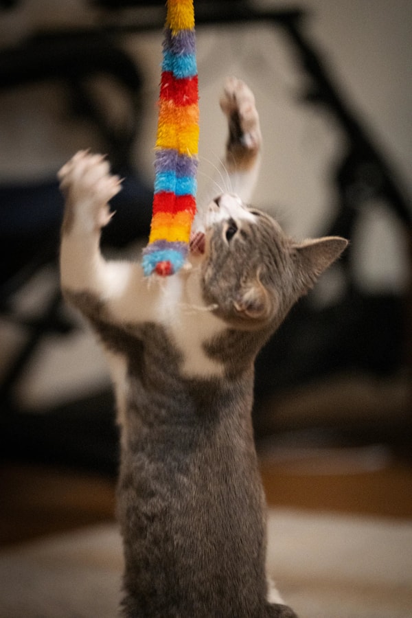 Kitty Kick Stix Review