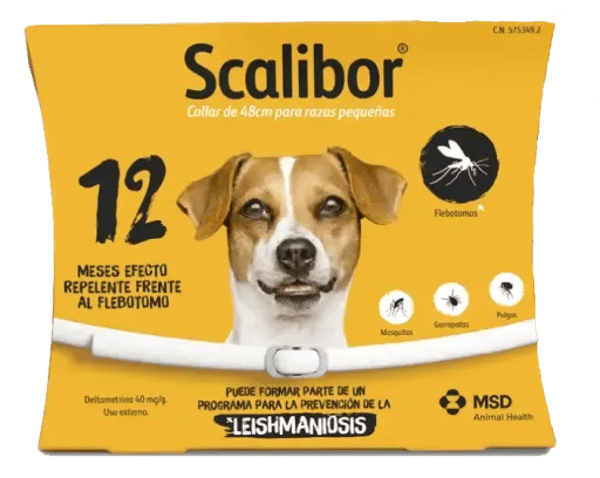Kiwoko Scalibor Collar Antiparasitario para perros Review