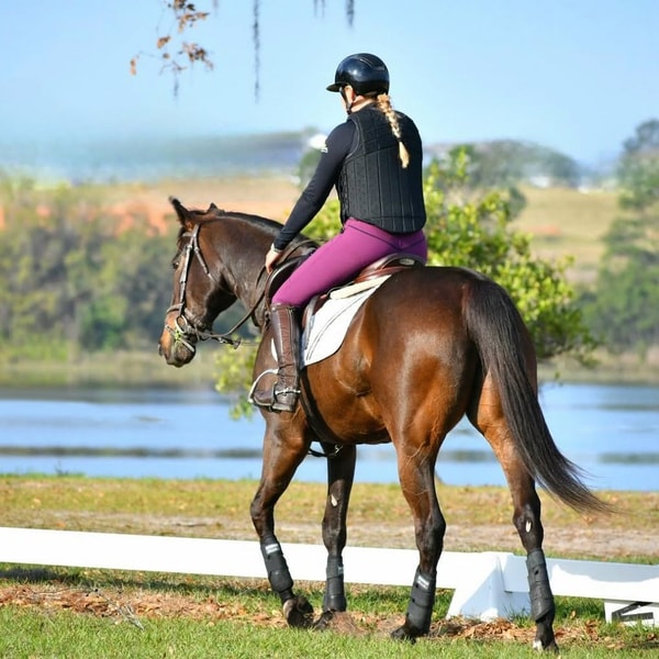 Overview of KMA Equestrian