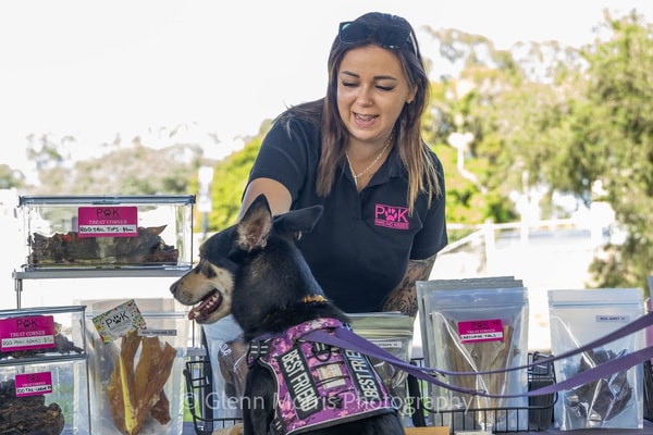 Knose Pet Insurance Review