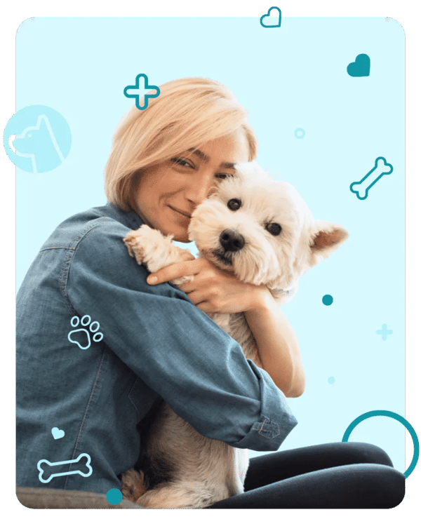 Knose Pet Insurance Dog and Puppy Insurance Review