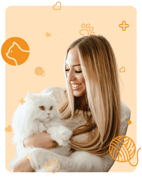 Knose Pet Insurance Cat and Kitten Insurance Review