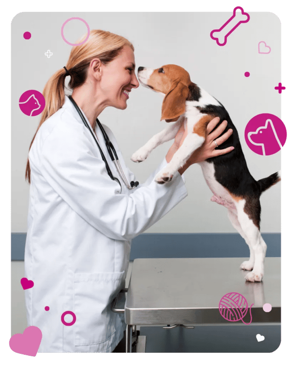 Knose Pet Insurance Pet Care Plans Review